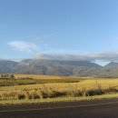 아프리카 남아공 케이프타운 여행 1탄 [가든루트 세계에서 가장높은 번지] 이미지