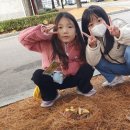 고림초등학교 이미지