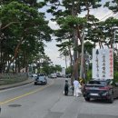 원조 순두부 이미지