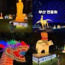 축제노래연습장 | 부산 야경 여행 송상현광장 2570 부산 연등회 연등축제 다녀온 후기