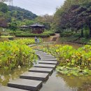 삼선산 수목원 이미지