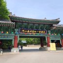 성불선원 제석천도 | 정월 성지순례_2. 김천 황악산 직지사