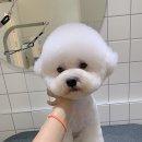 위드스테이부산 이미지