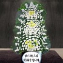 관고동-03 Daum카페