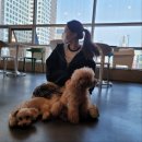 애옹코인노래연습장 이미지