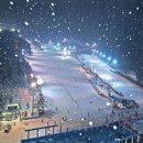 양지팬션 이미지