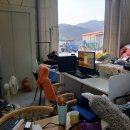 오렌지빈티지 이미지