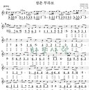 청춘부라보