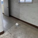 호텔로제 이미지