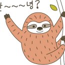 분99 네이버블로그