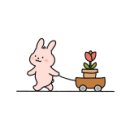 아인 홈