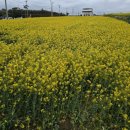 해안길 | 포항 물회 맛집-해안길횟집 후기, 포항 가면 무조건 들리는 인생 맛집🌊🌊