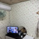 경진민박 이미지