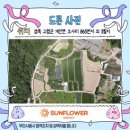 오사리 태양광발전소 이미지