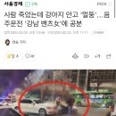 사람 죽었는데 강아지 안고 '멀뚱'…음주운전 '강남 벤츠女'에 공분 이미지