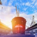 두마리토끼 이미지