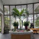 담고마켓 | 푸꾸옥 프리미어빌리지 조식 더 마켓 레스토랑 내부 좌석 음식 종류 후기 총정리