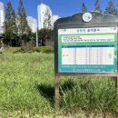 삼향천7 이미지