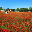 구일농장2 이미지