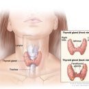 올바른한약국 이미지
