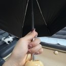 올리브영양산 | 올리브영 망곰 양산 / 내돈내산 후기!