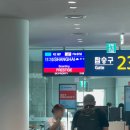호동김밥 | [상해 동화대 어학연수] 1일차 - IKEA/따룬파(大润发)/소양생전(小杨生煎）