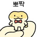 파충류샵 스마일게코 이미지