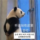 스파이더동인천 | 듣자하니 여기 서있으면, 유명해진다던데?