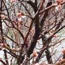 21세기한일병원 이미지