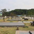 명파해변오토캠핑장 이미지
