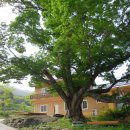 반딧불한우촌 이미지