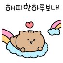 야간)꽃과 원예 이미지