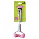 덴탈투유 이미지