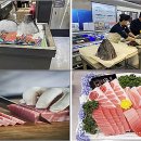 참치데이 이미지