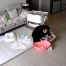 성주산로 3(국도40호선) | 평택 산후도우미, 출산 후 지쳤던 저를 회복시켜준 베스트맘 후기