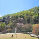 찻집 순수 이미지