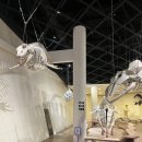 문헌전통호텔 이미지