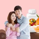 시흥자동차유리복원