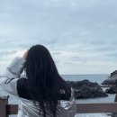 낙천서가 이미지