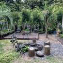 브레스힐C 이미지