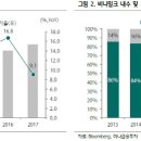 비나 이미지