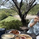 율리 | 🌿 울산 율리 무라카데 칼국수 후기 | 주말 오픈런 성공! 내돈내산 자연 뷰 맛집 ✨