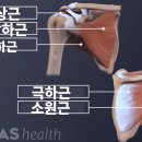 쭌스트레칭