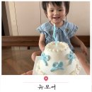 뉴유성 | 대전 유성구 레터링케이크 뉴모어 미니케이크 후기
