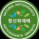 코코스토리