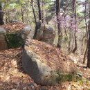 선산터미널 - 비봉산 - ▲형제봉 - 이문삼거리 - 선산터미널 3 이미지