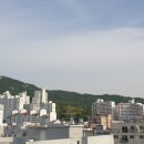 성지부동산공인중개사사무소 이미지