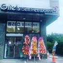 올리스 펫 쌀롱 | 향남 셀프애견목욕 [올리스24 향남점] 내돈내산 후기 ᵔᴥᵔ