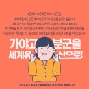 가야 고분군의 세계문화유산적 가치 이미지