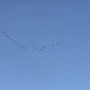 선창마을 이미지